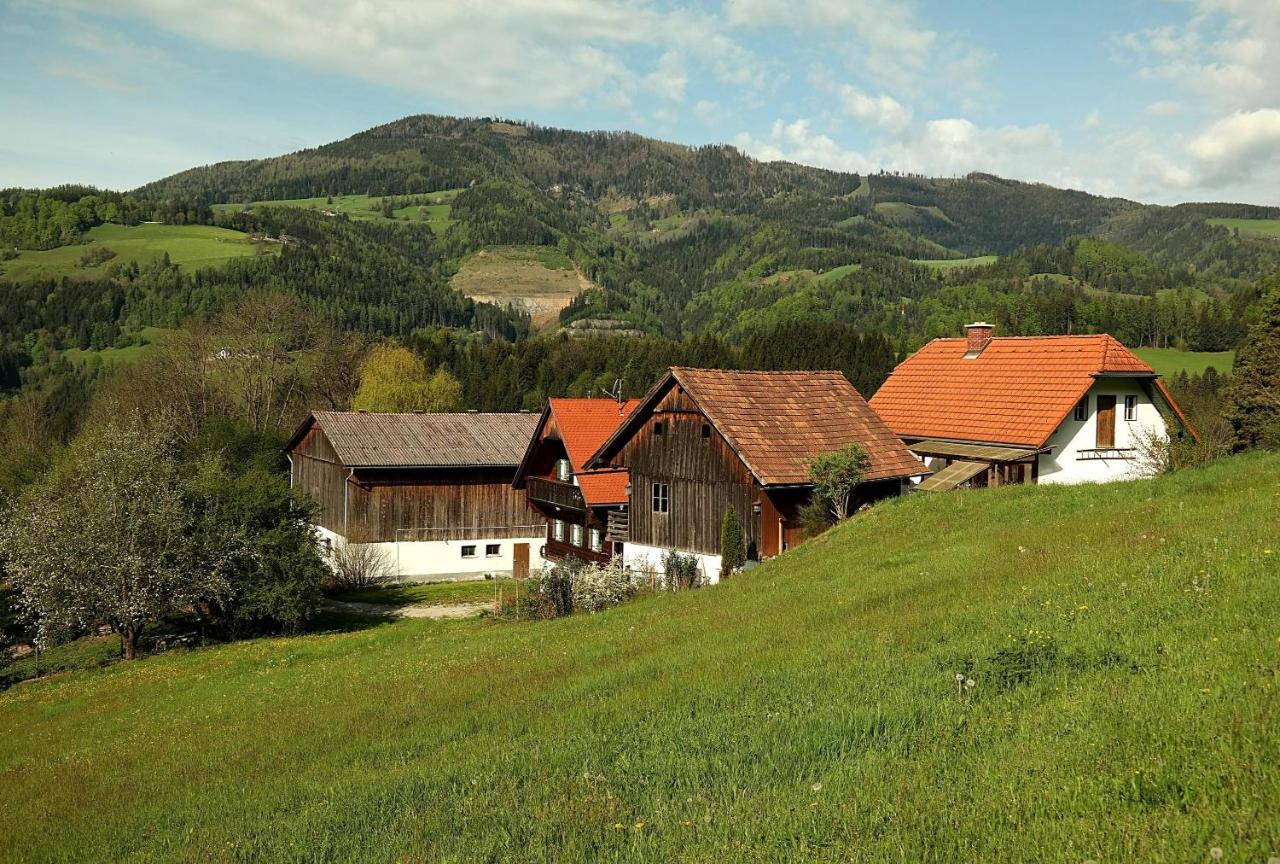 Ferienwohnungen Raczkowski Birkfeld ภายนอก รูปภาพ