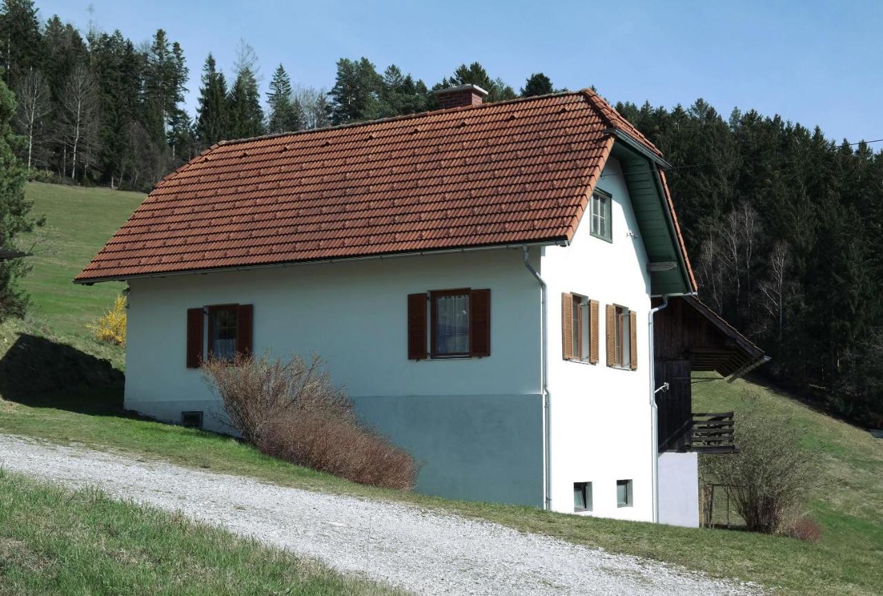 Ferienwohnungen Raczkowski Birkfeld ภายนอก รูปภาพ