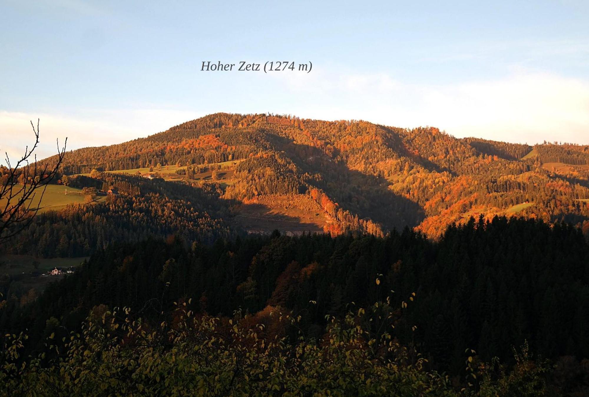 Ferienwohnungen Raczkowski Birkfeld ภายนอก รูปภาพ