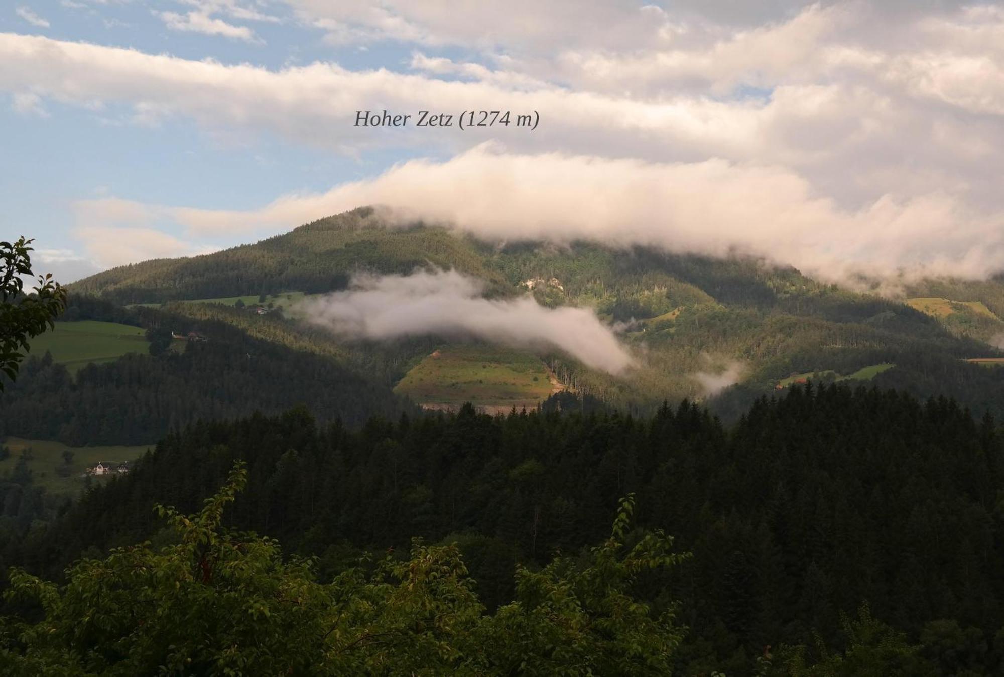 Ferienwohnungen Raczkowski Birkfeld ภายนอก รูปภาพ