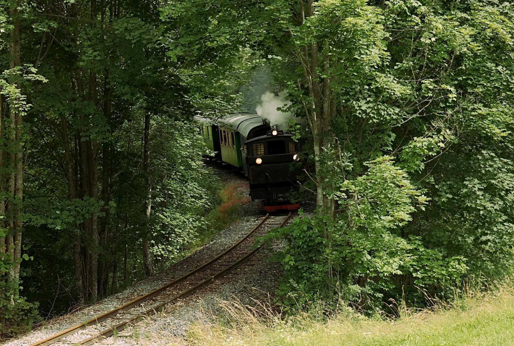 Ferienwohnungen Raczkowski Birkfeld ภายนอก รูปภาพ